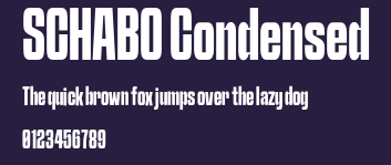 SCHABO Condensed Preview