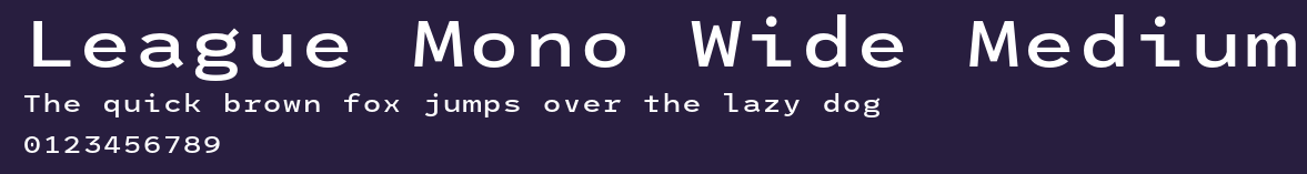 League Mono Wide Medium Preview