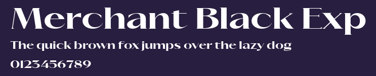 Merchant Black Exp Preview
