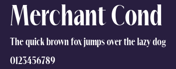Merchant Cond Preview