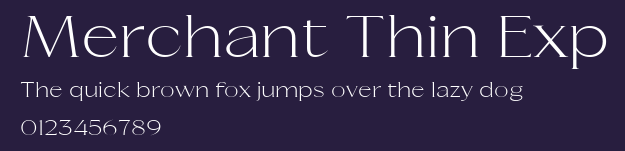 Merchant Thin Exp Preview