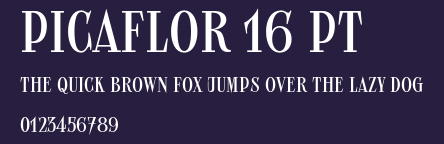 Picaflor 16 pt Preview
