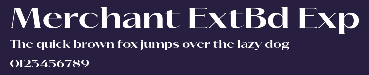 Merchant ExtBd Exp Preview
