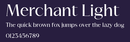 Merchant Light Preview