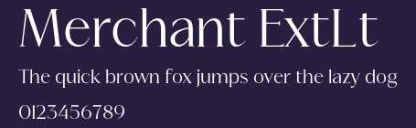 Merchant ExtLt Preview