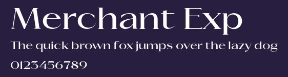 Merchant Exp Preview