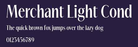 Merchant Light Cond Preview