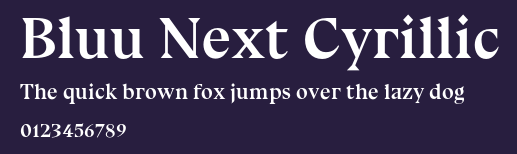 Bluu Next Cyrillic Preview