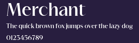 Merchant Preview