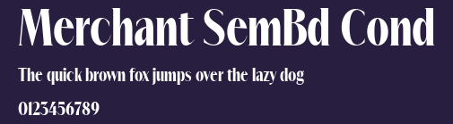 Merchant SemBd Cond Preview