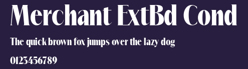 Merchant ExtBd Cond Preview