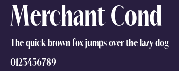 Merchant Cond Preview