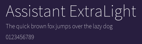 Assistant ExtraLight Preview