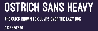 Ostrich Sans Heavy Preview