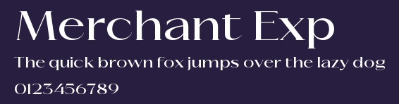 Merchant Exp Preview