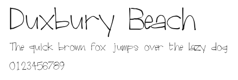Duxbury Beach Preview