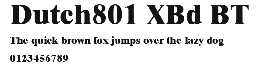Dutch801 XBd BT Preview