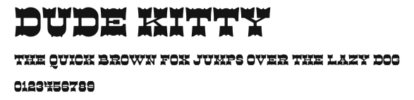 Dude Kitty Preview