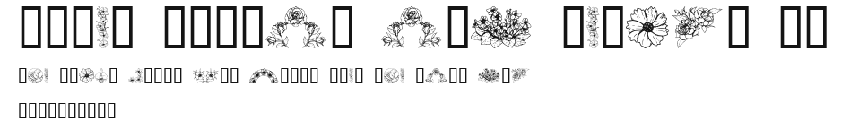 Dover Floral and Design II Preview