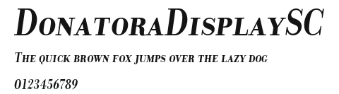 DonatoraDisplaySC Preview