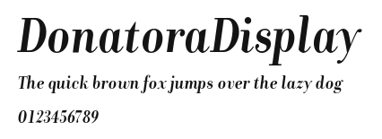 DonatoraDisplay Preview