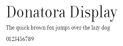 Donatora Display Preview