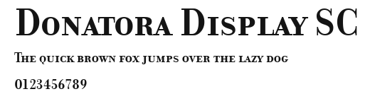Donatora Display SC Preview