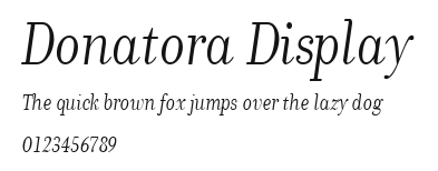 Donatora Display Preview