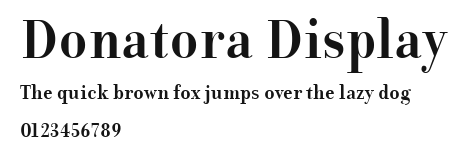Donatora Display Preview
