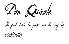 Don Quixote Preview