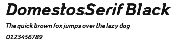 DomestosSerif Black Preview