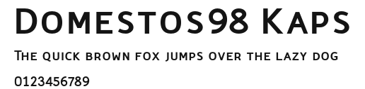 Domestos98 Kaps Preview