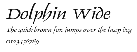 Dolphin Wide Preview