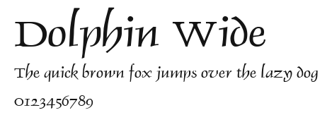Dolphin Wide Preview
