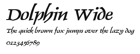 Dolphin Wide Preview