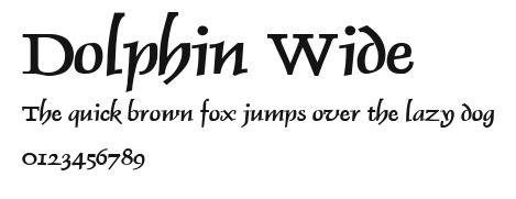 Dolphin Wide Preview