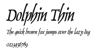 Dolphin Thin Preview