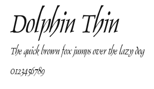 Dolphin Thin Preview