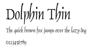 Dolphin Thin Preview