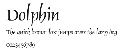 Dolphin Preview