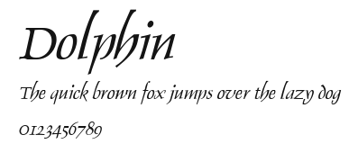 Dolphin Preview