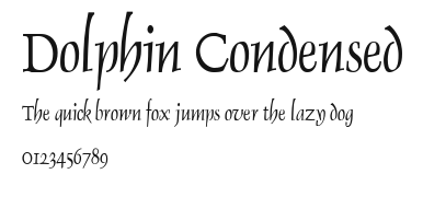 Dolphin Condensed Preview
