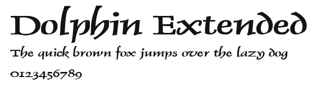 Dolphin Extended Preview