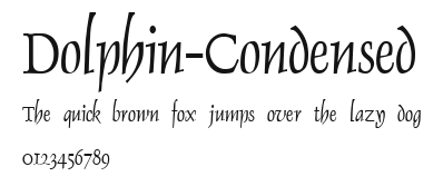 Dolphin-Condensed Preview