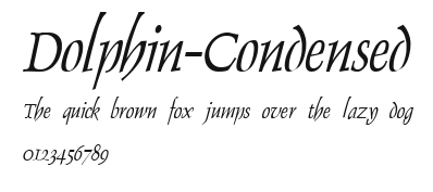 Dolphin-Condensed Preview
