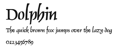 Dolphin Preview