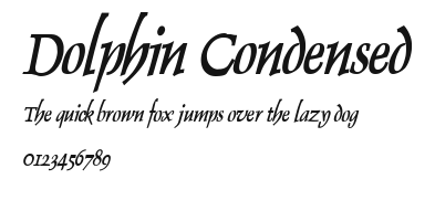 Dolphin Condensed Preview