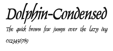 Dolphin-Condensed Preview