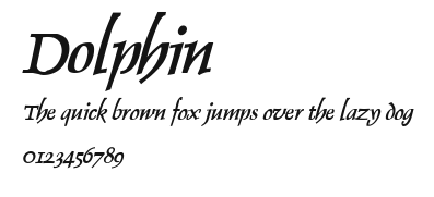 Dolphin Preview