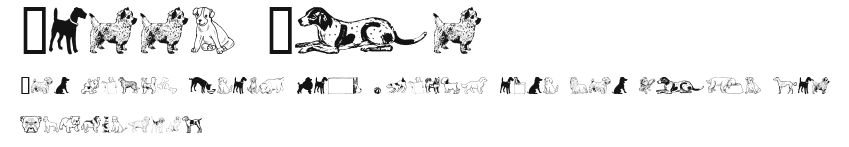 Doggy Bag Preview
